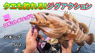 クエも釣れるジグアクション解説【SLJ】【ジギング】