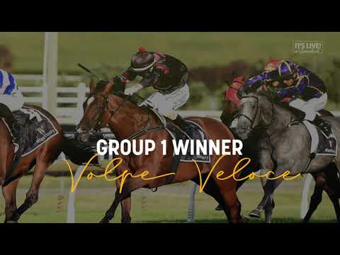 2021 Magic Millions National Broodmare Sale - TVC