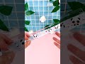 Vídeo do produto Régua em Poliestireno 15cm Panda