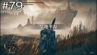 いざ、影の地へ【エルデンリングDLC】#79　※ネタバレ注意