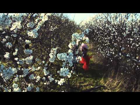 C-BooL feat. Ricardo Munoz - So Much Better - Making Of Music Video Official