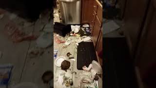 Dog destroys trash can