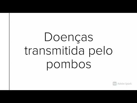 Problema com pombos? Temos a Solução! Desentupidora Sorocaba Limpa Fossa Sorocaba Caça Vazamento Sorocaba