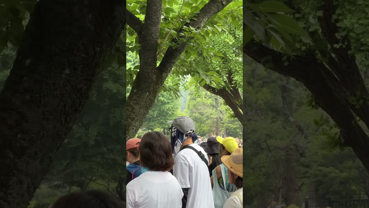 東京都知事選挙　街頭演説　医療の闇　応援演説　#うつみさとる