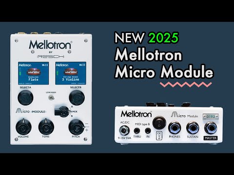 Mellotron Micro Module image 7