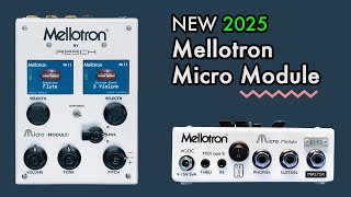 Video thumbnail for NEW Mellotron Micro Module - 2025 review and demonstration video by Now You Know
