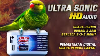 Download lagu MASTERAN PAGI‼️PERKICI PANTAI mastering digital suara jelas dan tajam mp3 Download lagu MASTERAN PAGI‼️PERKICI PANTAI mastering digital suara jelas dan tajam mp3