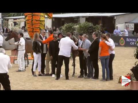 Most Beautiful Head Award - Class 2A - N. 37