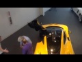 Jay Taking 1st US Delivery Of McLaren P1