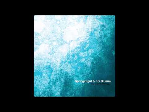 Springintgut & F.S. Blumm - Eskimono ( 2017 )