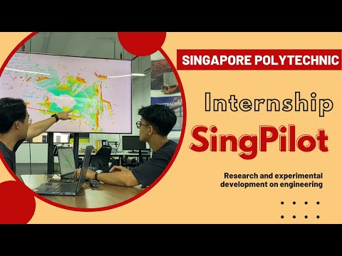 IE 4004 Internship Equivalent Project