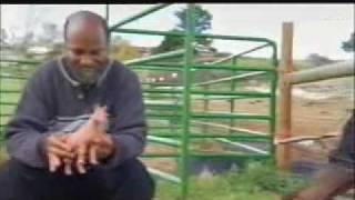 Savant syndrome, Beautiful minds