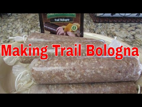 download lagu mp3 mp4 Troyers Trail Bologna Trail Ohio, download lagu Troyers Trail Bologna Trail Ohio gratis, unduh video klip Troyers Trail Bologna Trail Ohio