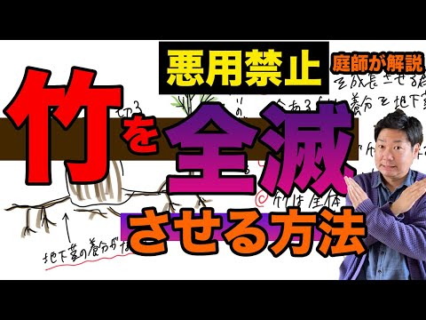 竹を取り除くにはどの製品を使用しますか? 芝刈り機を使用して切断した周囲を破壊します