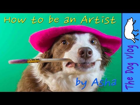 How to be an Artist  by Asha the Border Collie