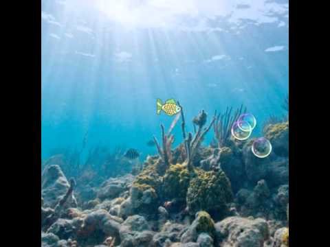 ALAM LOHAR  SONG                              T P GONDAL PTI SOHAWA BOLANI MANDI BOHAUDDIN