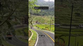 Download lagu Jalan dan rumah viral di naringul Cianjur selatan, ciwidey menuju ke cidaun #jalanviral #rumahviral mp3