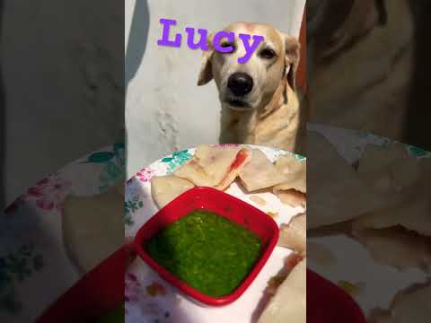 #music #rap #hiphop #artist #lyrics #trap #song #dance