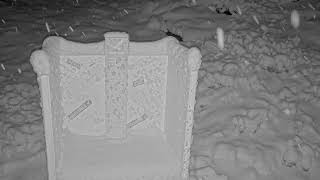 Solitude Snow Stake live webcam