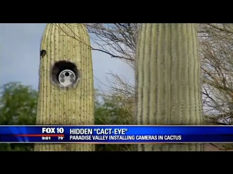 Snow Plow Show - May 12th, 2015 - I've Got My Cact Eye On You