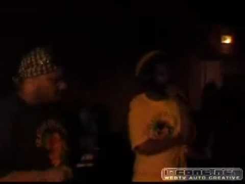Iration Steppas feat DanMan - Nuit du Dub #2 - Live par Culture Dub