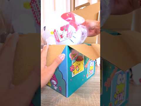 Sanrio but it's a mystery box! #sanrio #mysterybox #shorts