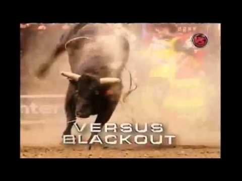 Versus Blackout aka Stray Kitty