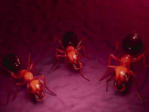 MYCELIUM - (2022) Animated Short Film