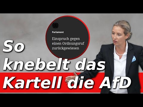 2.000 Euro Strafe für Regierungskritik – was ist aus der Demokratie geworden?