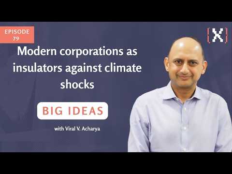 Modern corporations as insulators against climate shocks, Big Ideas Ep 79
