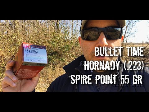 Bullet Time - Hornady Spire Point 55 gr .223 Chronographed