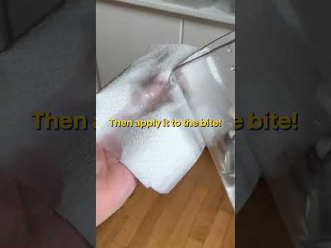 Solve It With Salt - Mosquito and Bug Bite Remedies