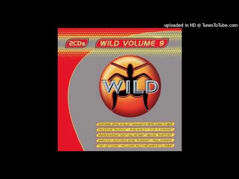 Wild FM Volume 9 - Wild Millennium Megamix