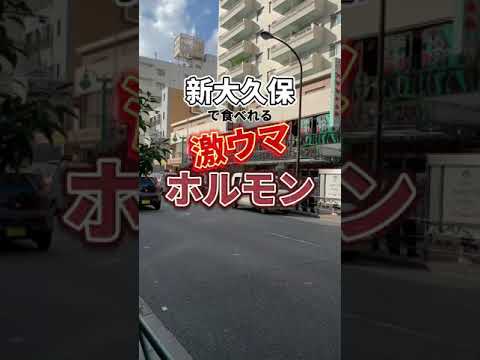 Shin-Okubo Gourmet [hormona coreana asada en Shin-Okubo] Hongdaekopchango