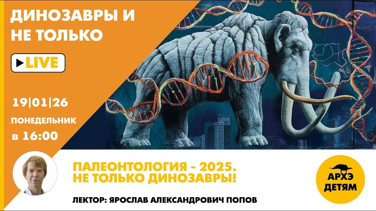 Занятие "Палеонтология — 2025. Не только динозавры!" рубрики "Динозавры и не то?