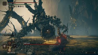 ELDEN RING　影樹の化身　近接遺灰縛り