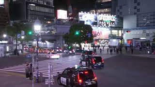 Shibuya Scramble Crossing Live Camera