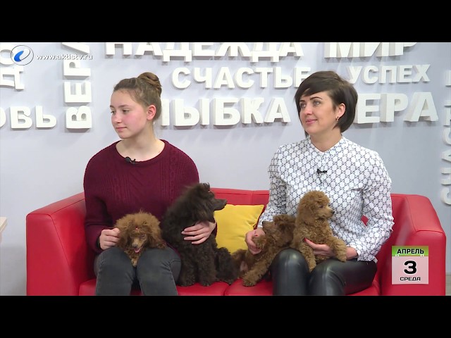 Живая среда