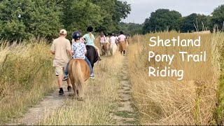 Shetland Pony Trail Riding- TV EP 405