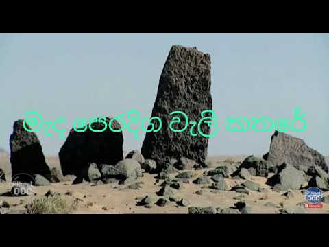 මැදපෙරදිග මරු ,,කතරේ ,😢😢
