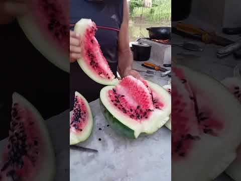 RESENHA COM OS AMIGOS