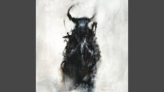 Cover art for North star of Nija
