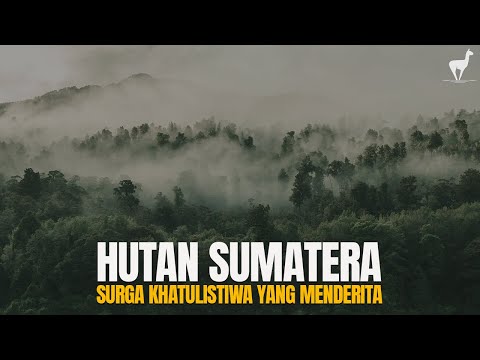 Hutan Sumatera: Surga Khatulistiwa yang Terluka