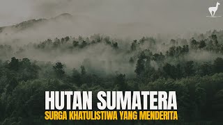 Download lagu Hutan Sumatera: Surga Khatulistiwa yang Terluka mp3