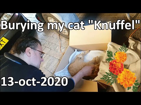 Burying my cat Knuffel and make a nice grave