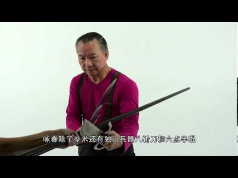 Wan Kam leung Practical Wing Chun Shanghai