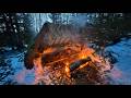 I Found a Fallen Tree and Built a Winter Shelter Beneath It