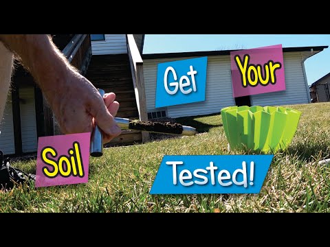 Soil Test Results: pH & NPK Interpretation (How I Created My Annual 33−0−0 Fertilizer Plan)