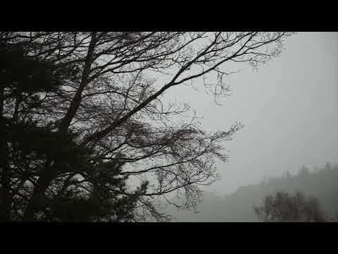 Wayward Jane - Edinburgh Rain
