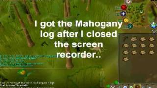 Runescape - New Special Teak and Mahogany logs (Small Reveiw in Description)